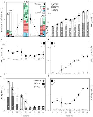 Microbial Processing of Jellyfish <mark class="highlighted">Detritus</mark> in the Ocean